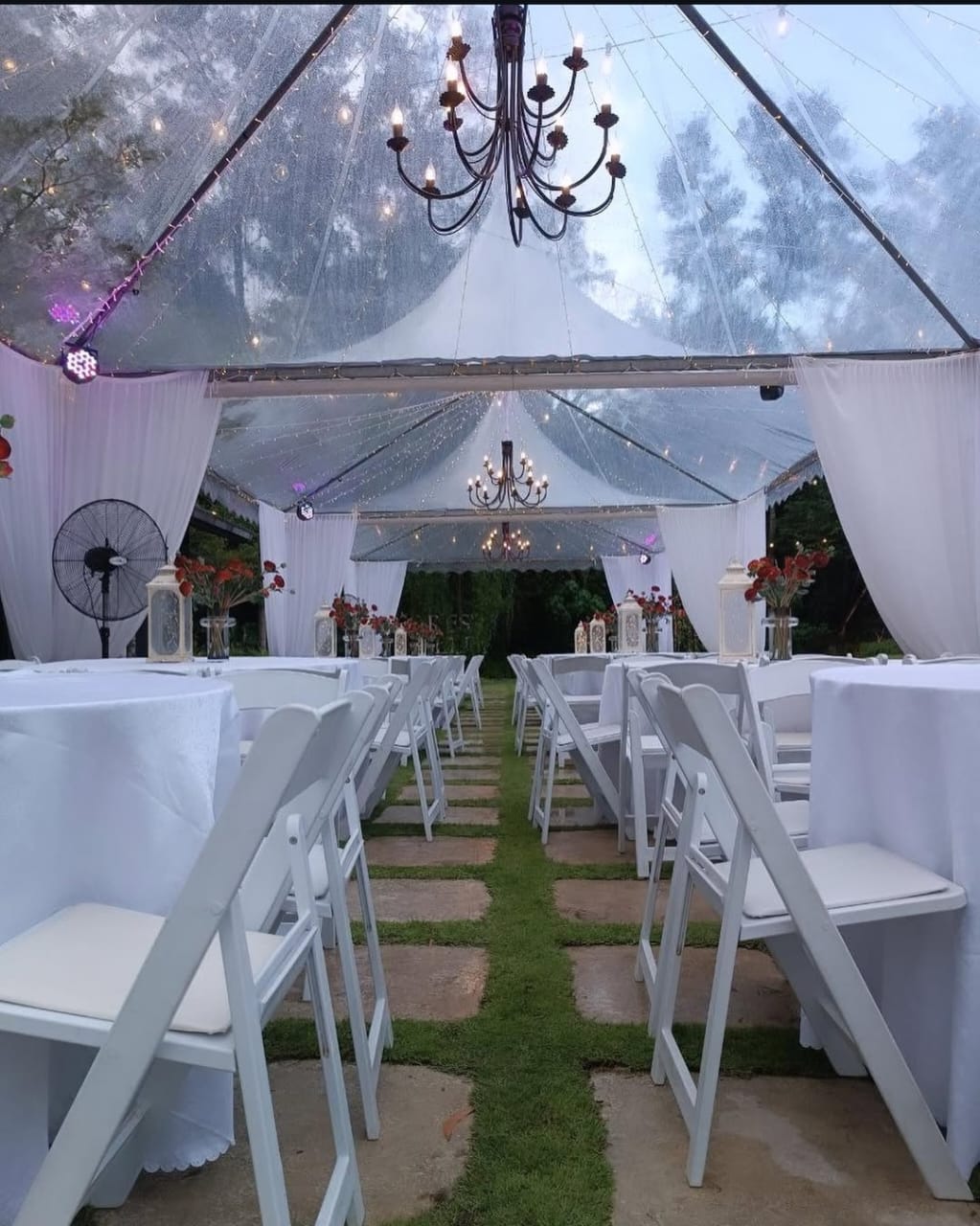 WhatsApp Image 2025-11-25 at 12.15.28 AM